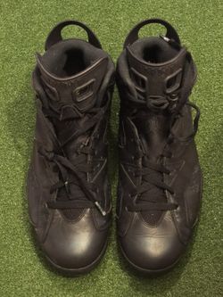 Nike Air Jordan 6 Chameleon Size 11.5