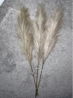 Taupe Pampas Grass