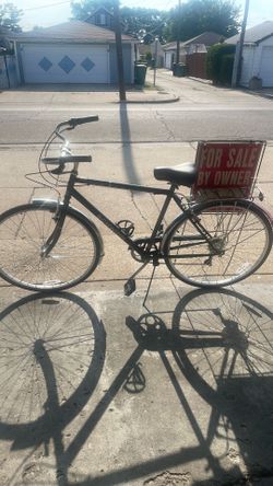 Schwinn Wayfarer