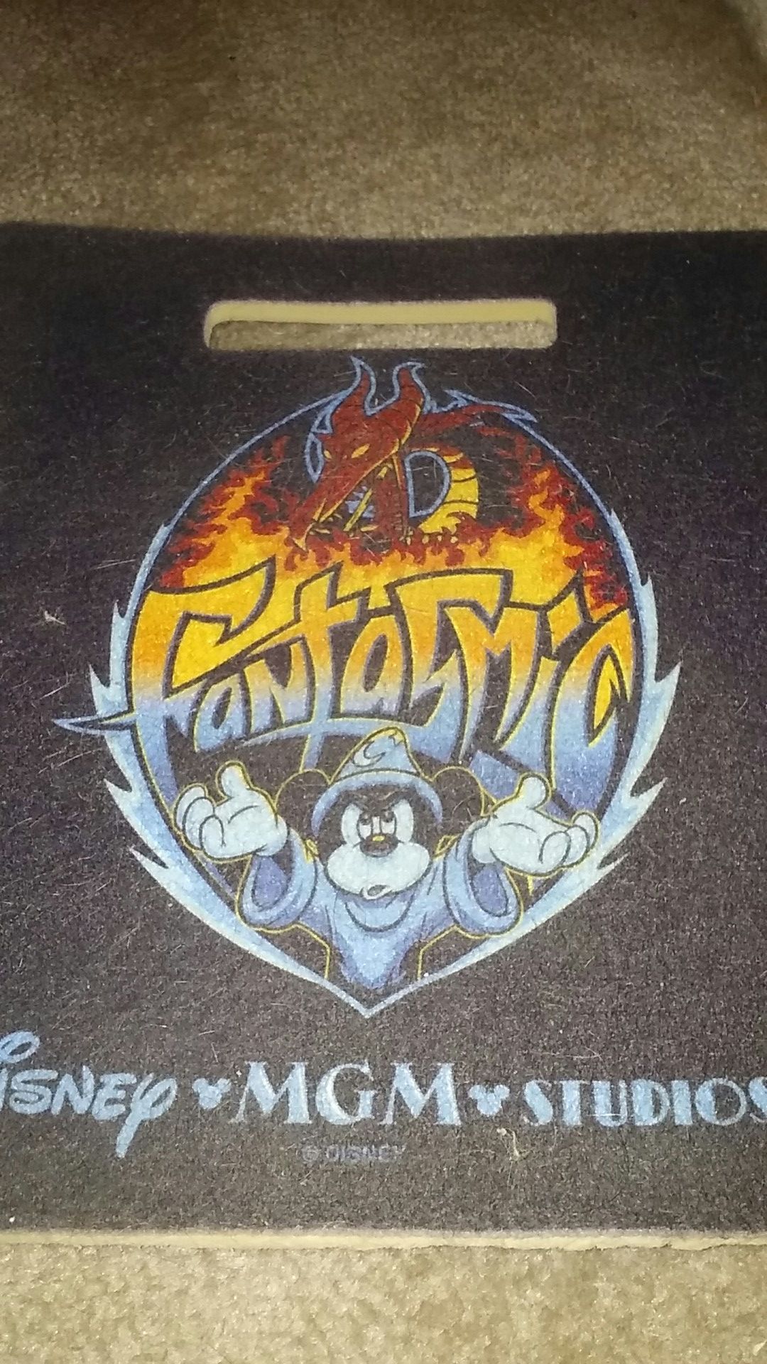 Disney MGM Studios Fantasmic Seat Cushion