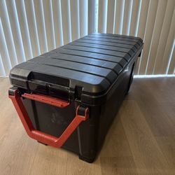 Trunk Storage Container 