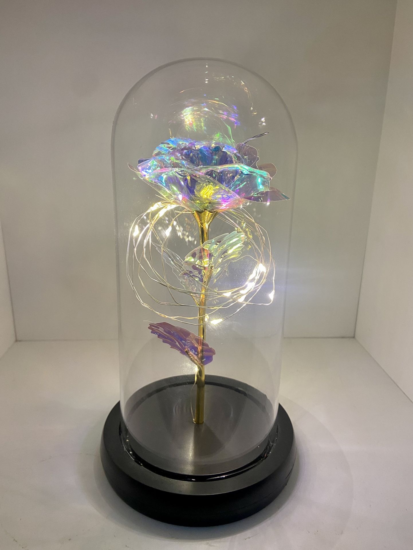 Dose Of Roses Galaxy Light Rose