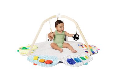 Lovevery Play Gym