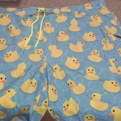 Swimming Trunks 