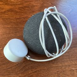 Gray Google Home