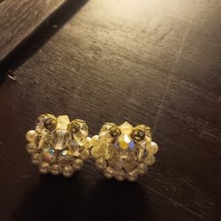 Glass Beautiful Earrings