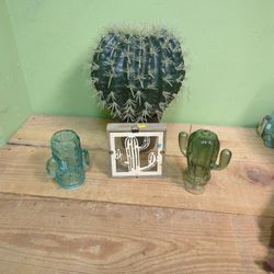 Cactus Lot!