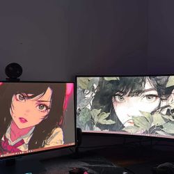 2 Monitors | OLED & UWQHD 