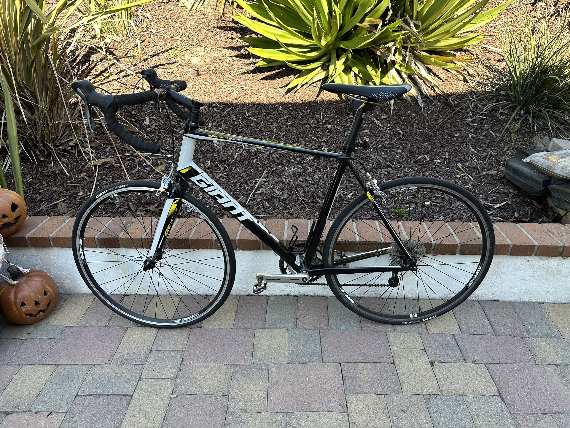 Men’s Giant Road Bike