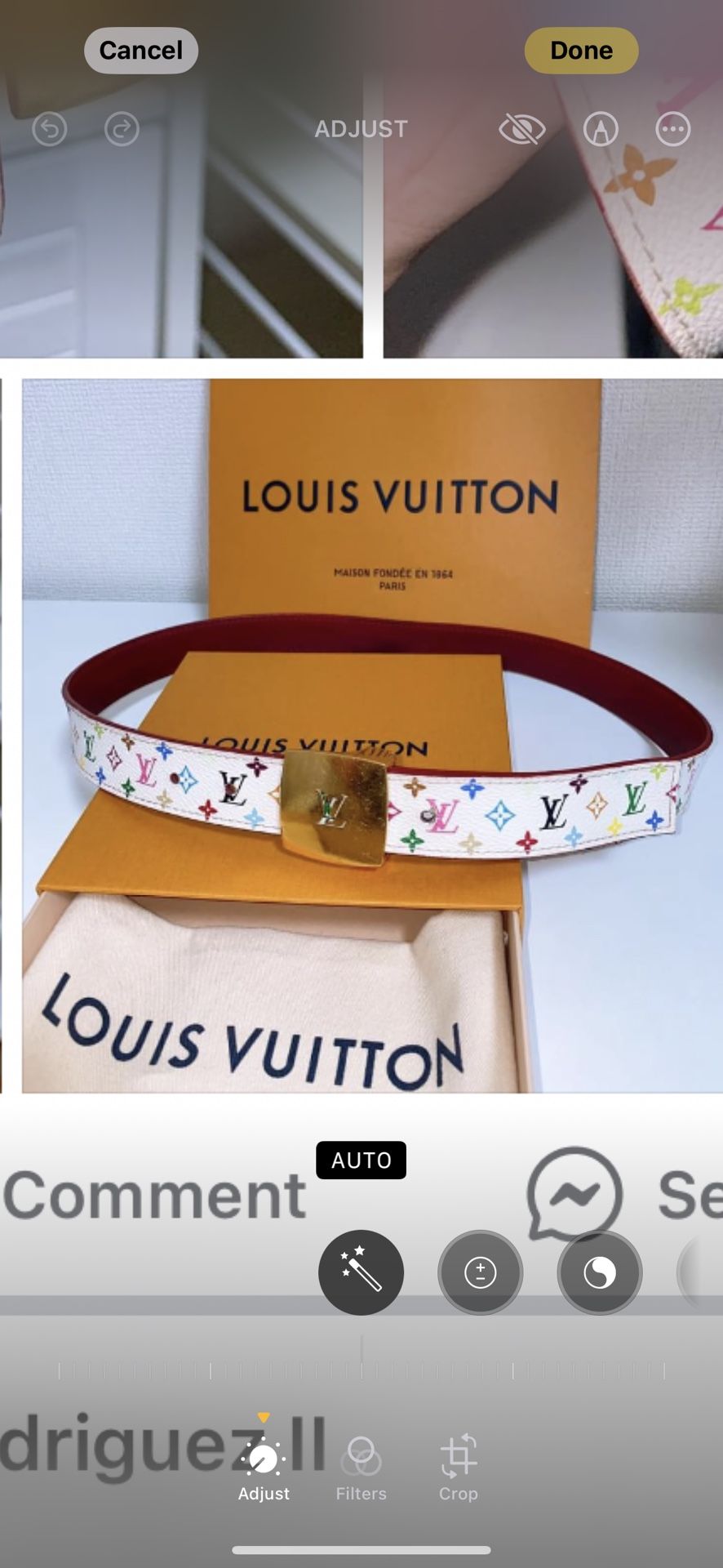 Louis Vuitton Multicolor Belt