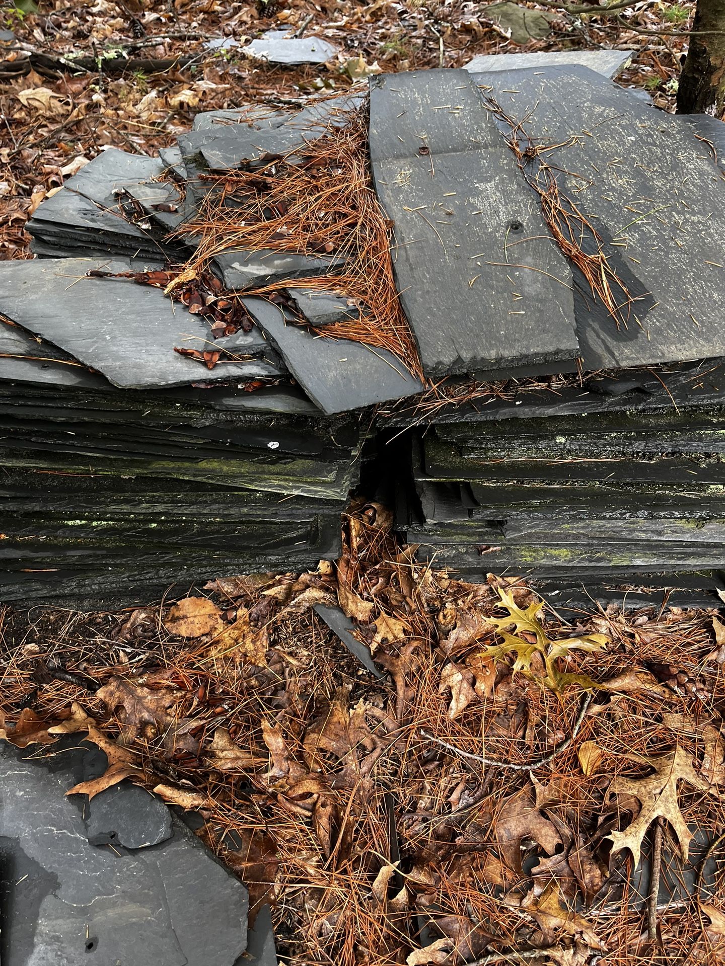 Slate Tile