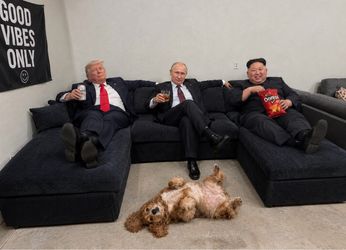 Sectional couch