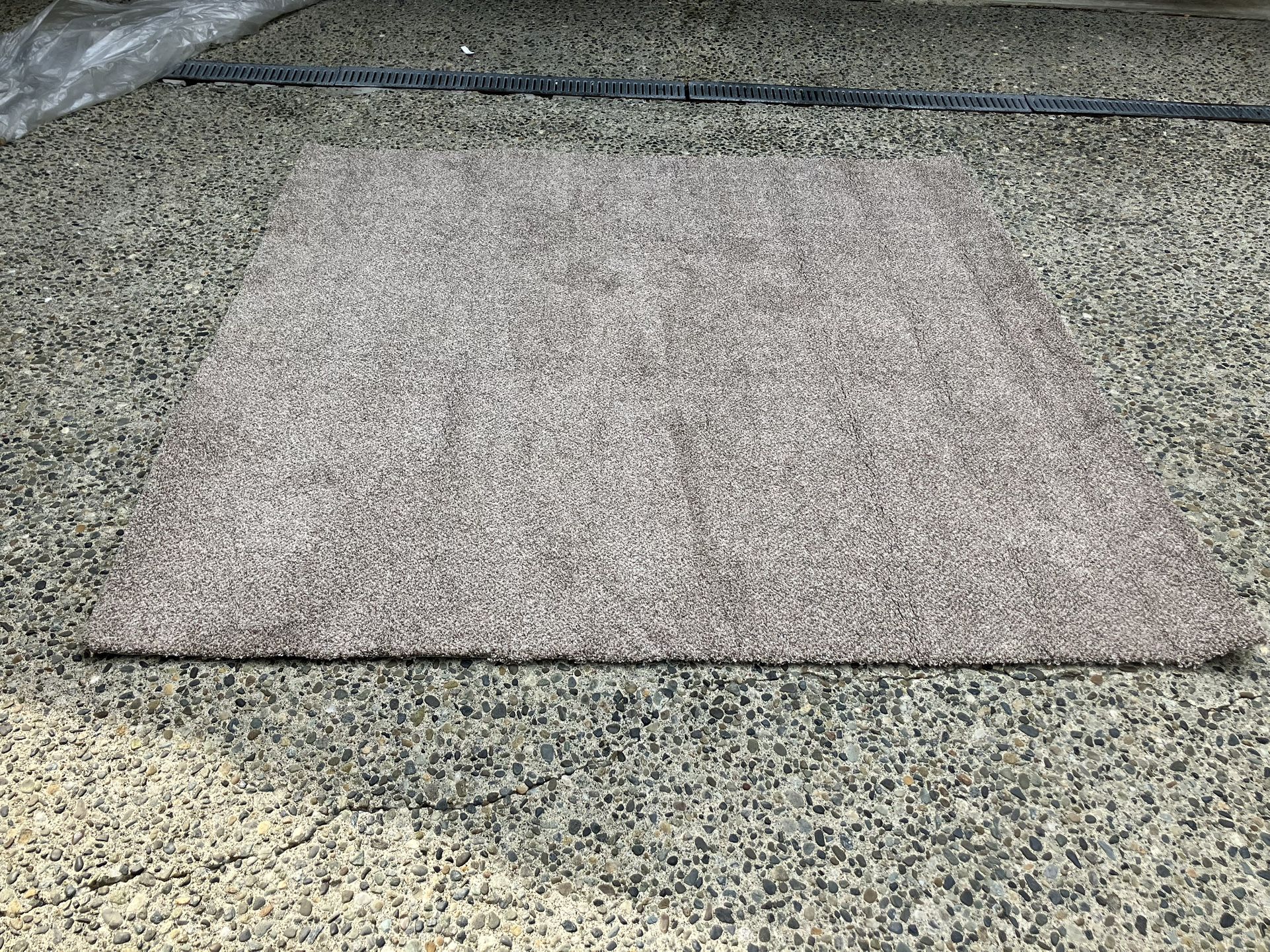 FREE: New Carpet Remnant