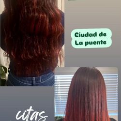 Hair Care / Shampoo No Sal