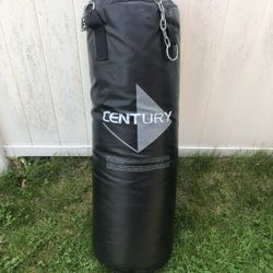 Punching Bag 