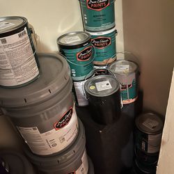 New Paint 