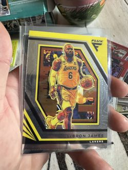 LeBron James Flux Silver 