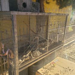 bird cage