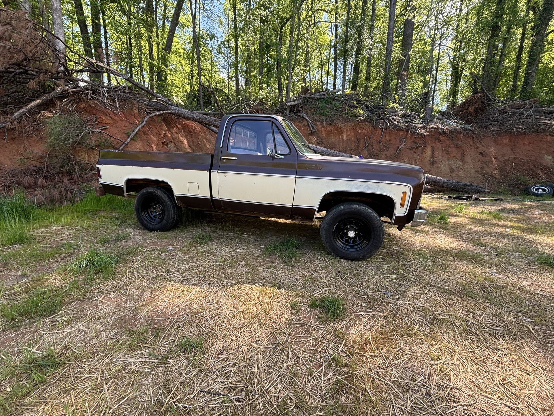 1980 Chevy K10 