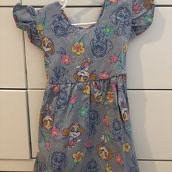 Paw Patrol Dress Size 3T