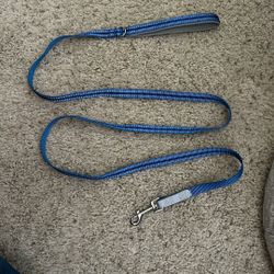 blue dog leash 