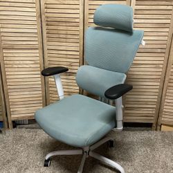 Ergonomic Office Chair 