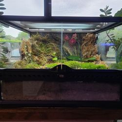 Exo-Terra Terrarium Small Low 18x18x12