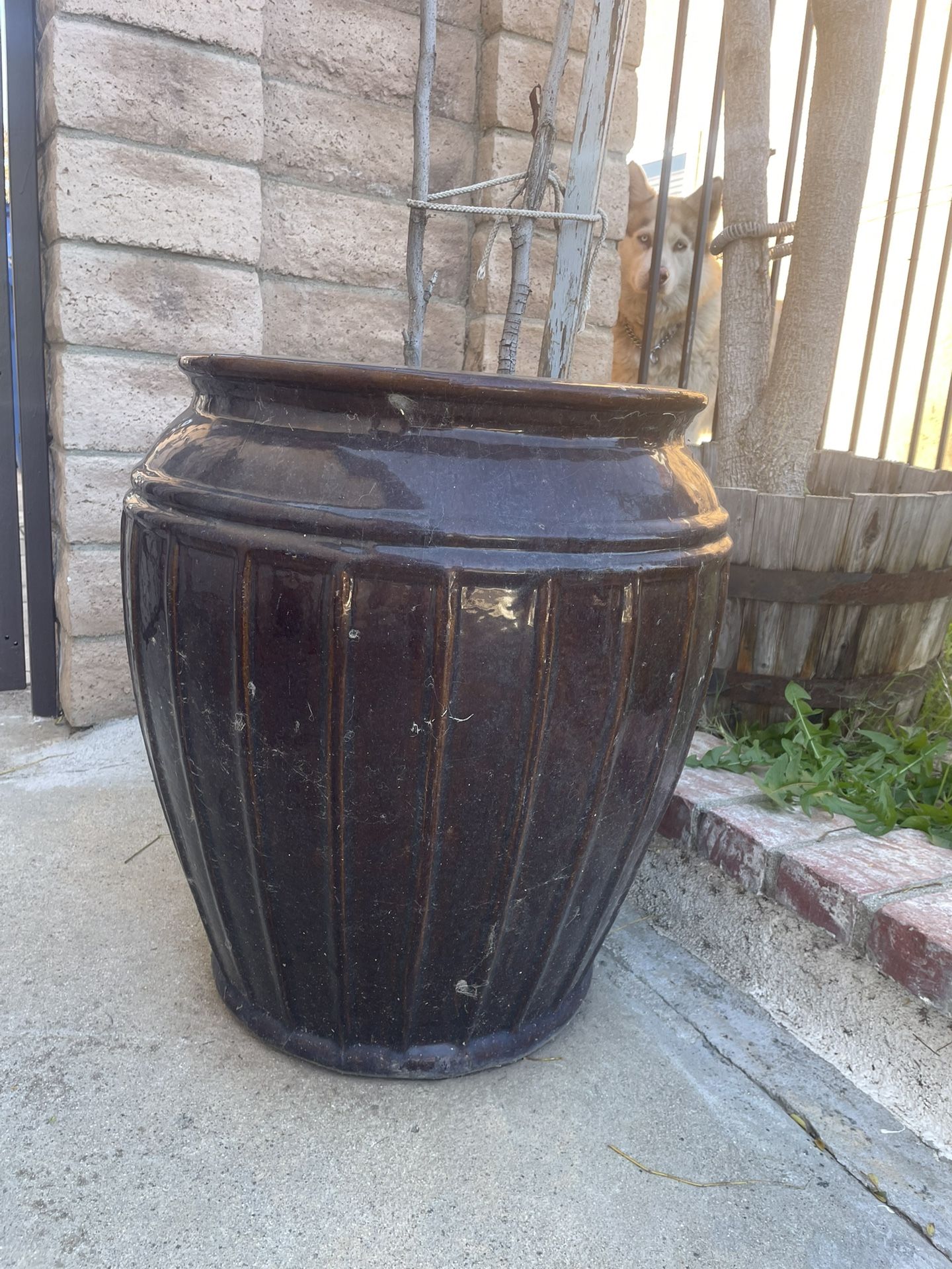Ceramic Indoor/outdoor Glazed Pot For Tree Or Flowers