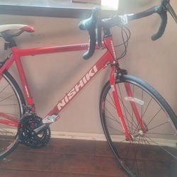 Nishiki Bike