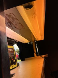 Heat Lamp Grow