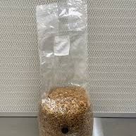 Grain Bags 