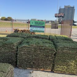 Grass For Sale 