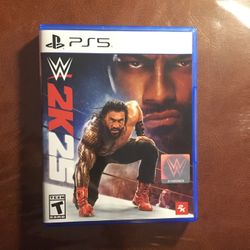 ps5 2k25 Wwe Game 