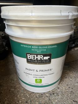 Bear Paint