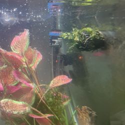 5.5 Gallon Full Bundle Sale 