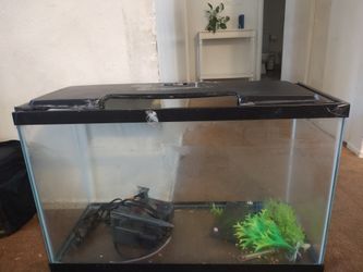 40 Gallons Fishtank