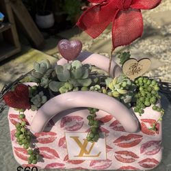 Unique Large Succulent Purse Planter