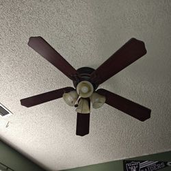 Fan