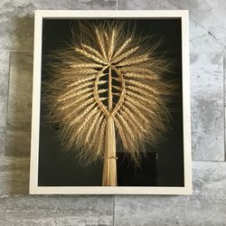 Wall Pictures  $15 For Both  19.5 x  16.5   And  17.5  x  13.5. Richmond and Kirkwood Crossin