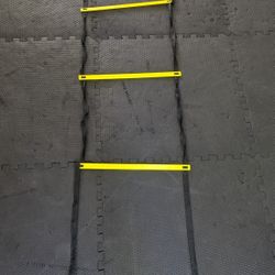 FREE Agility Ladder