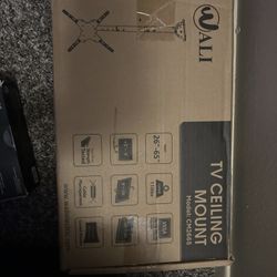 Tv Ceiling Mount