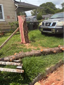 Live Edge Cedar Wood Slab and Logs