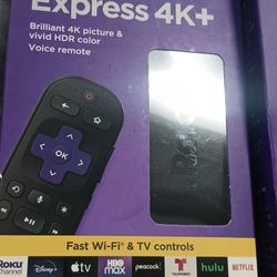 Roku Sticks