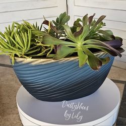 Planter/Plant Included/Drain Hole/Hanpainted/Restored Pot/Patio/Home Decor