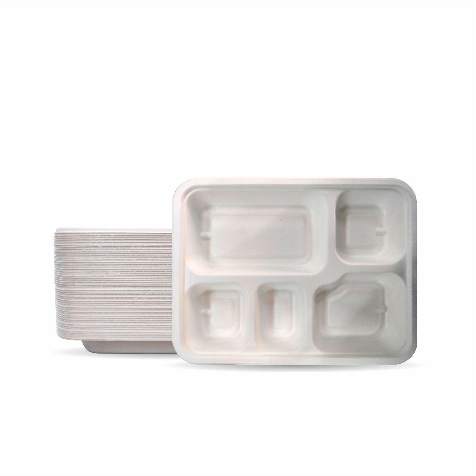 Biodegradable Bagasse Disposable 5 CP Plates / Tray (Pack of 50)