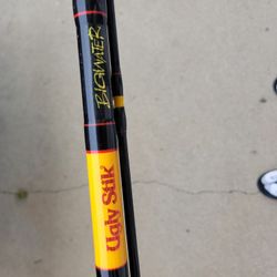Ugly Stik 10'