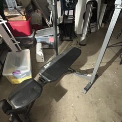 Weight Bench