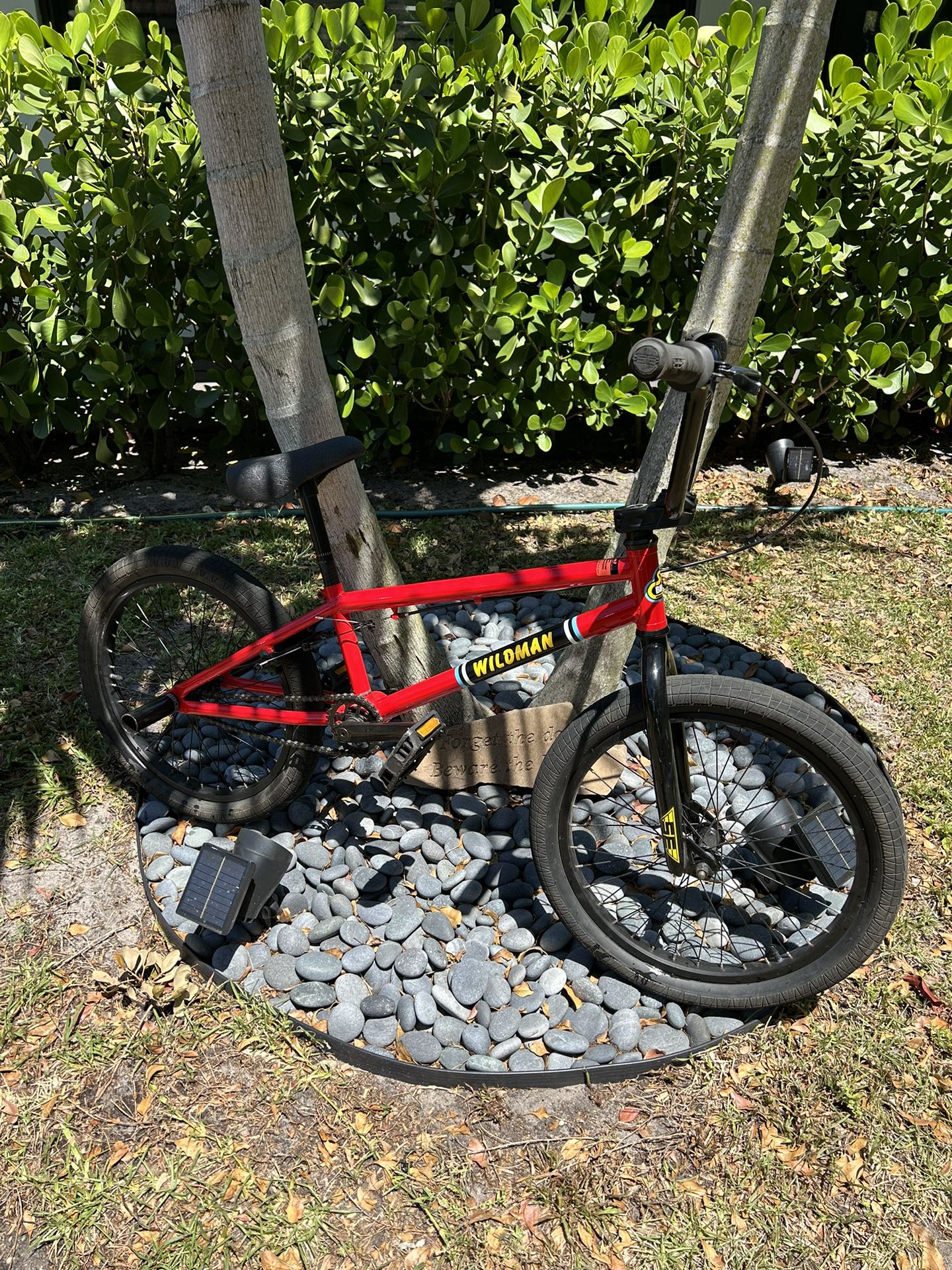 Wildman 20” BMX Bike 