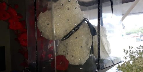 🎀💛Puppy Love💛🎀