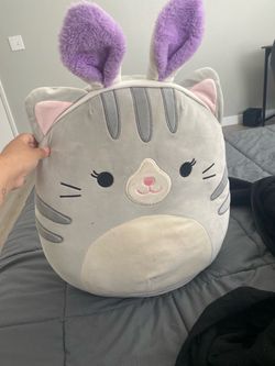 Cat with bunny ears